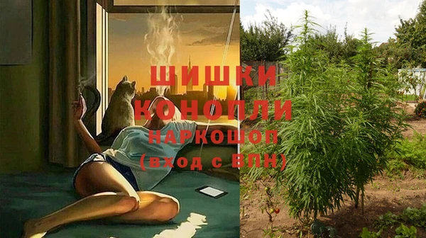 мдпв Навашино