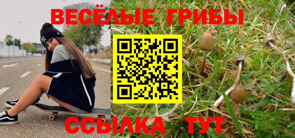 Псилоцибиновые грибы мухоморы  Дербент 