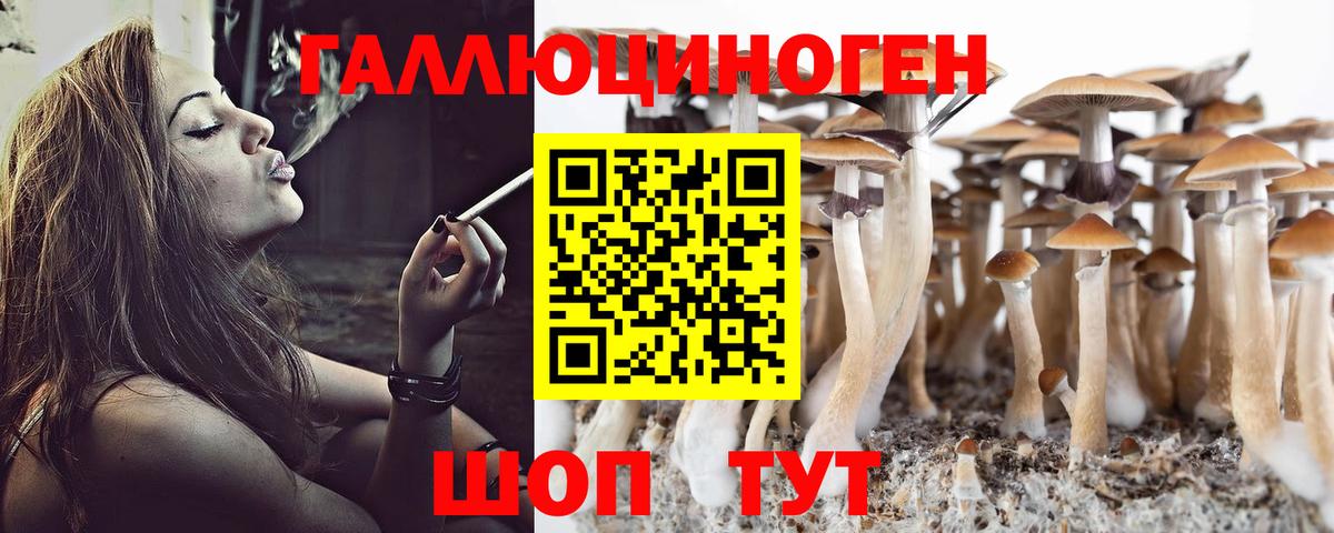 цены наркотик  Галлюциногенные грибы прущие грибы  Вход с VPN  Дербент 