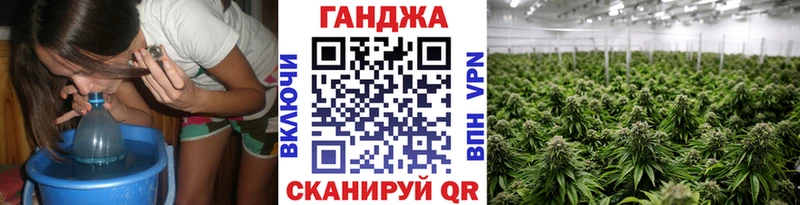 Бошки Шишки планчик  где купить наркоту  Дербент 